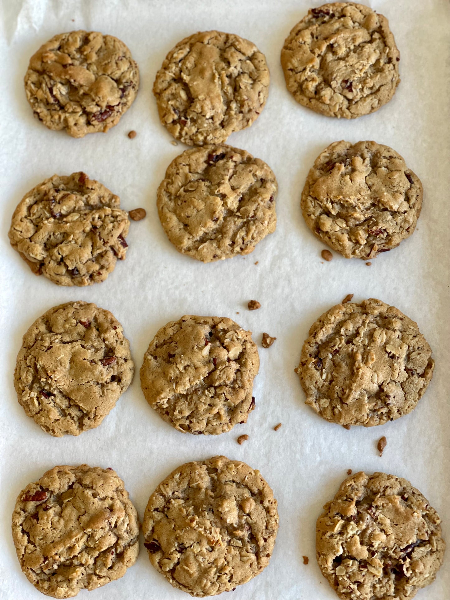 Oatmeal Raisin Cookies, Parve