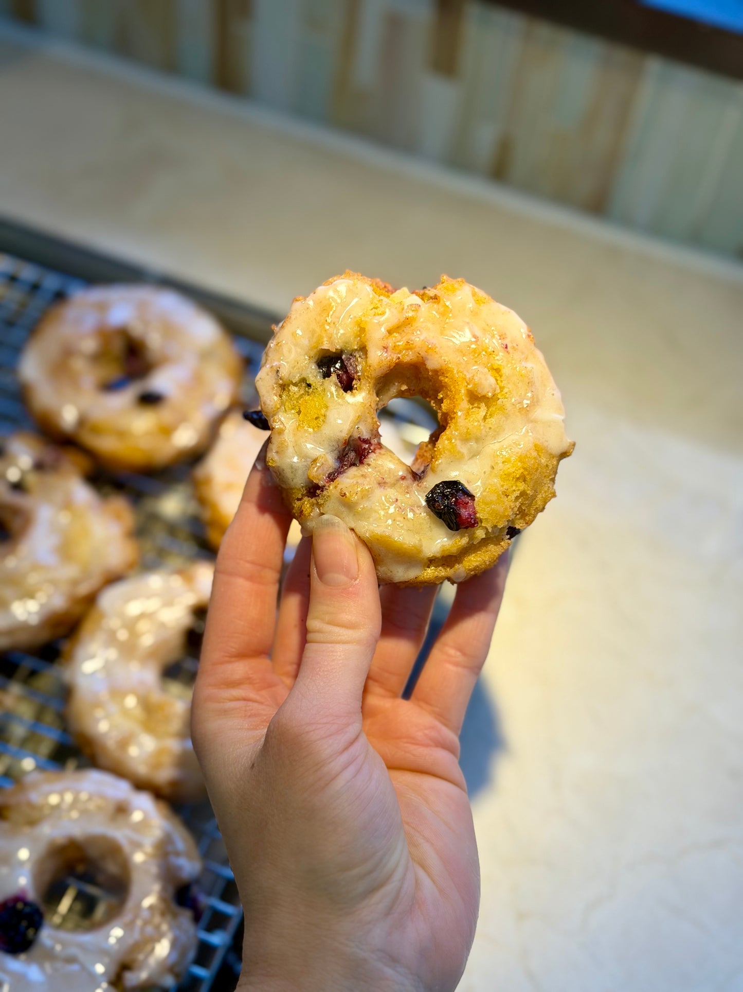 Blueberry Cornbread Old Fashion Donuts, Parve